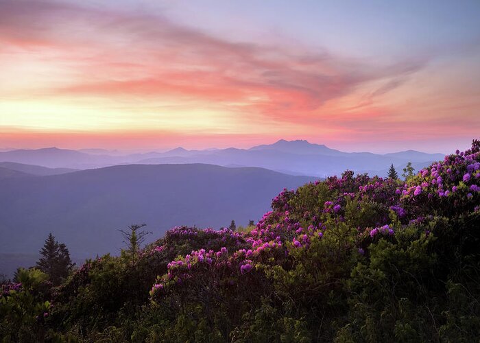 Roan Greeting Card featuring the photograph Grassy Ridge, Roan Mountain, Appalachian Trail by Tommy White