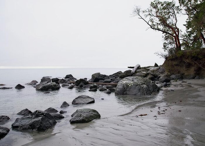 Landscape Greeting Card featuring the photograph Gray Day Beach Scene by Allan Van Gasbeck