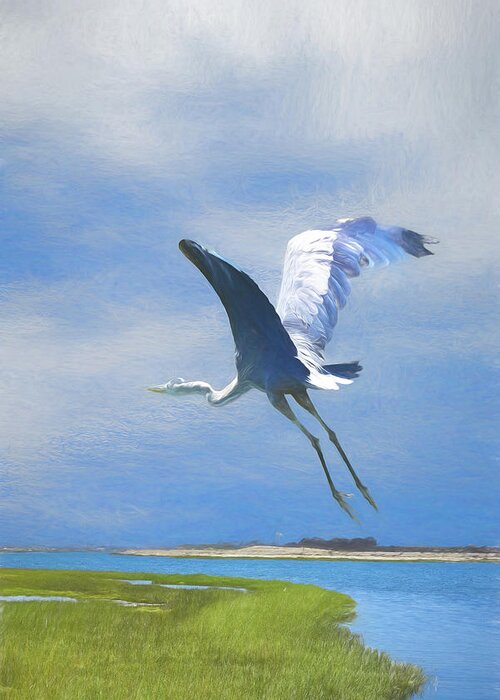 Linda Brody Greeting Card featuring the digital art Great Blue Heron Take Off 1 Artistic 1 by Linda Brody