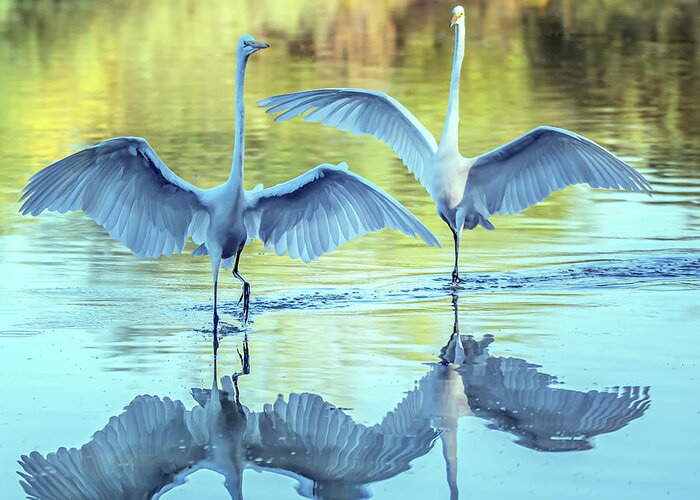 Great Egret Greeting Card featuring the photograph Great Egrets 3492-100620-2 by Tam Ryan