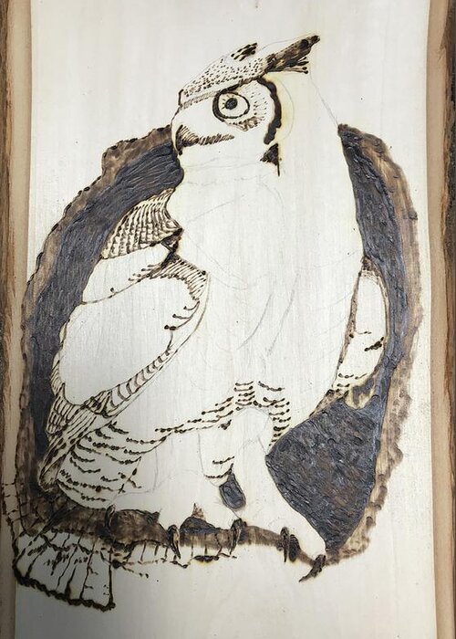 Pyrography Greeting Card featuring the pyrography Pre-Great Horned Owl by Terry Frederick
