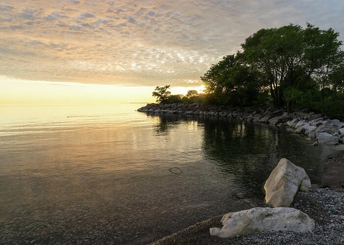 Glossy Daybreak Greeting Card featuring the photograph Green and Glossy Summer - Sunrise on the Shore of Lake Ontario by Georgia Mizuleva