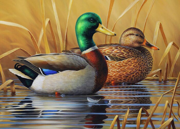 Mallards Greeting Card featuring the painting Green and Gold by Guy Crittenden