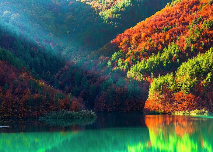 Bulgaria Greeting Card featuring the photograph Green Lake by Evgeni Dinev