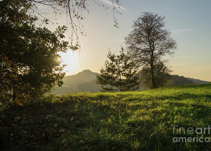 Saxon Switzerland Greeting Card featuring the photograph Green meadow and golden light 2 by Adriana Mueller
