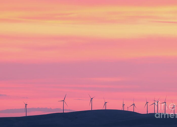 Palouse Greeting Card featuring the photograph Green Power From Tangerine Skies by Doug Sturgess