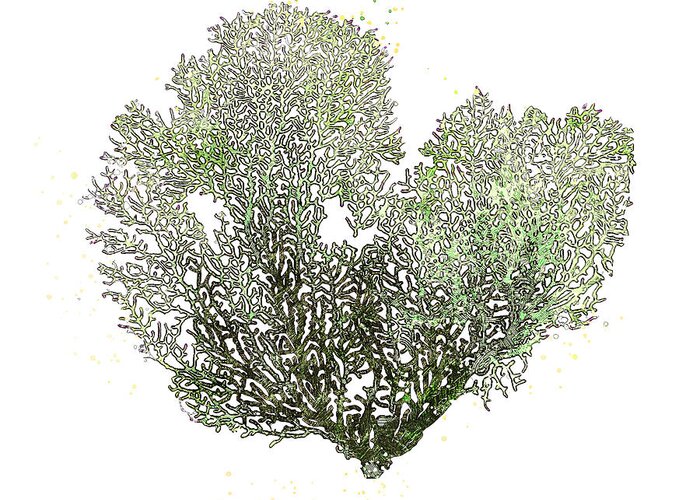  Greeting Card featuring the mixed media Green Sea Fan by Pamela Williams