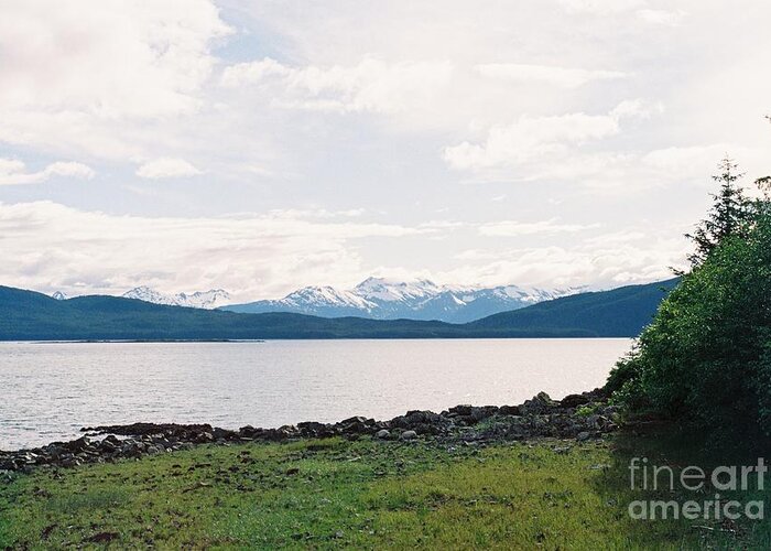 #alaska #ak #juneau #cruise #tours #vacation #peaceful #sealaska #southeastalaska #calm #chilkatmountains #chilkats #capitalcity #lynncanal #shrineofsttherese #clouds #cloudy #35mm #analog #film #spring #sprucewoodstudios Greeting Card featuring the photograph Green Spring by Lynn Canal by Charles Vice