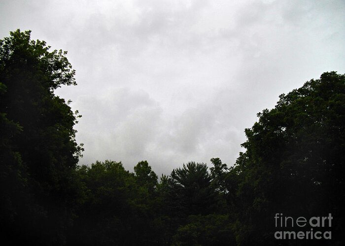 Landscape Greeting Card featuring the photograph Green Tree Line Under The Stormy Clouds by Frank J Casella