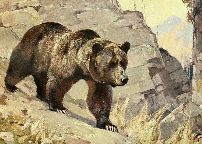 Grizzly Bear Greeting Card featuring the painting Grizzly Bear by Carl Rungius