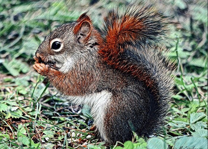 Squirrel Greeting Card featuring the digital art Ground Squirrel by Pennie McCracken - Endless Skys