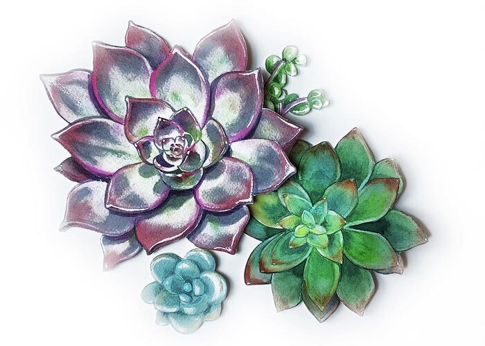 Succulent Greeting Card featuring the painting Group Of Succulent Plants Watercolor Illustration II by Irina Sztukowski