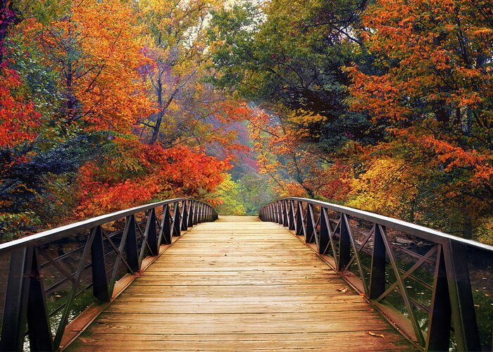Autumn Footbridge Greeting Card featuring the photograph Wondrous Woodland Crossing by Jessica Jenney
