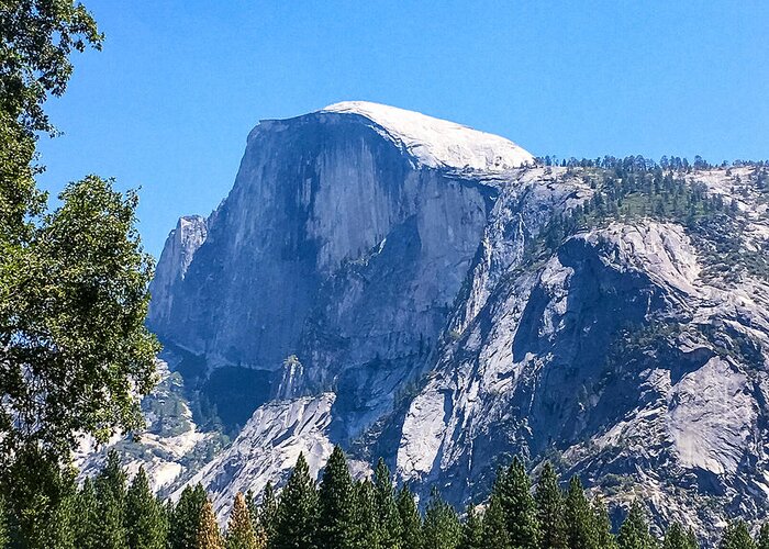 Yosemite Greeting Card featuring the photograph Half Dome by Grey Coopre