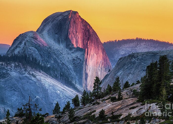 Half Dome Greeting Card featuring the photograph Half Dome Sunset by Anthony Michael Bonafede