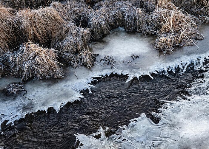 Ice Greeting Card featuring the photograph Half Frozen Creek by Phil And Karen Rispin
