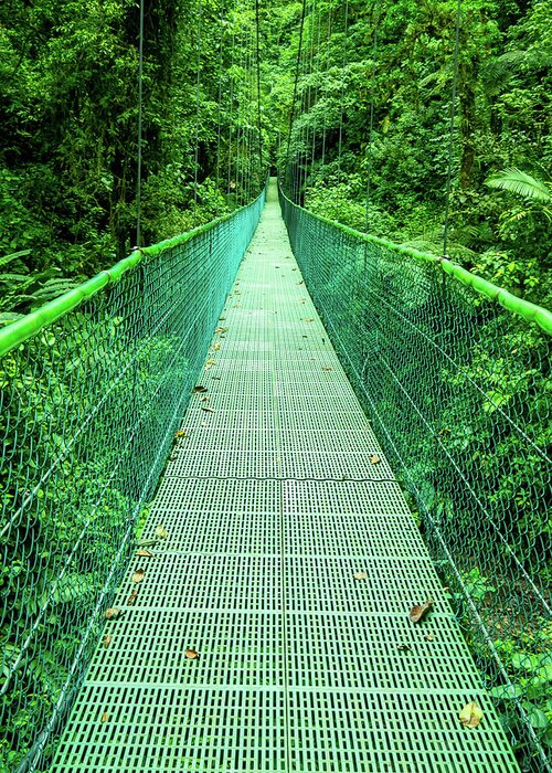 Hanging Bridge Greeting Card featuring the photograph Hanging Bridge in Cloud Forest in Monte Verde Costa Rica by Leslie Struxness