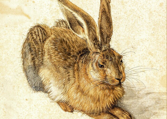 Albrecht Durer Greeting Card featuring the painting Hare by Albrecht Durer by Albrecht Durer