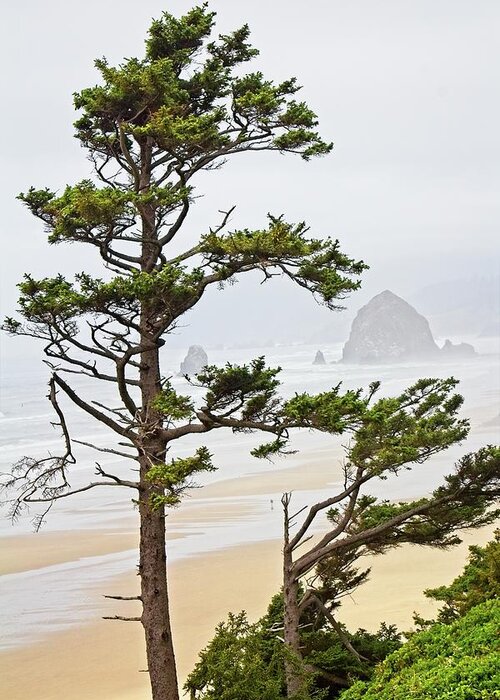 West Greeting Card featuring the photograph Haystack Rock on Cannon Beach by Loren Gilbert