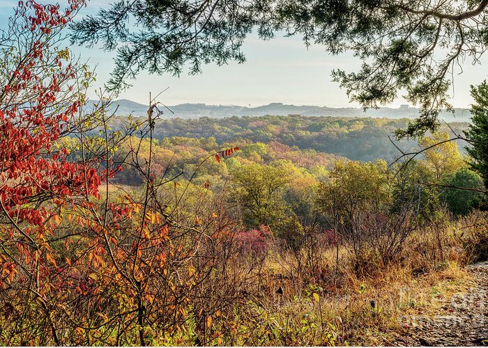 Ozarks Greeting Card featuring the photograph Henning Conservation Expansive Overlook by Jennifer White
