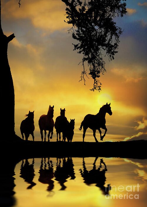 Horse Greeting Card featuring the photograph Herd of Horses in Southwestern Colored Sunset Oak Tree Reflected in Pond of Water by Stephanie Laird