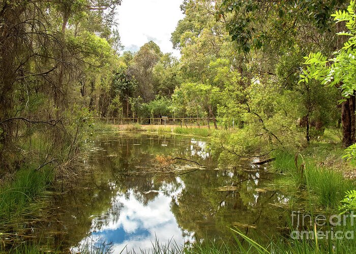 Lake Greeting Card featuring the photograph Heritage Park, Manjimup, Western Australia by Elaine Teague