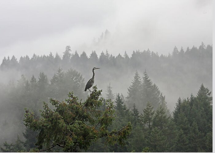 Heron Greeting Card featuring the photograph Heron in the Mist by Peggy Collins