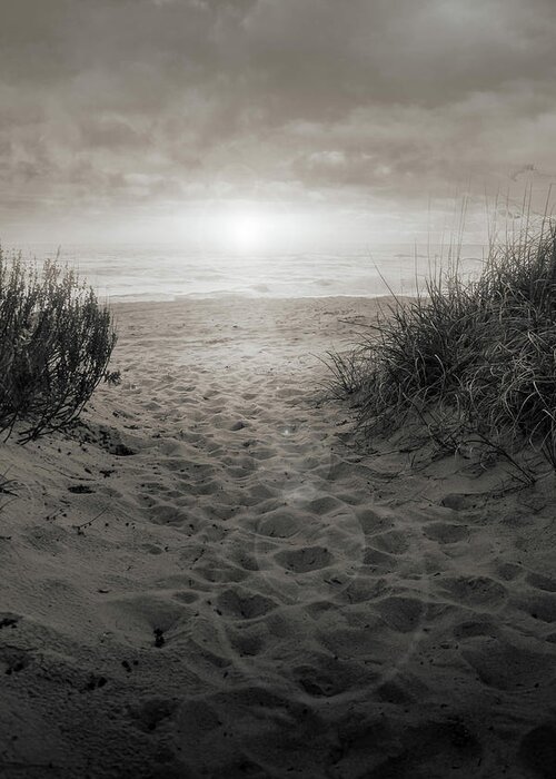 Beach Greeting Card featuring the photograph Hidden Beach by Jason Fink