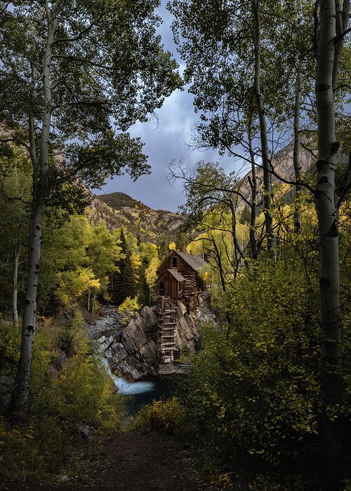Colorado Greeting Card featuring the photograph Hide Away by Joseph Hawk