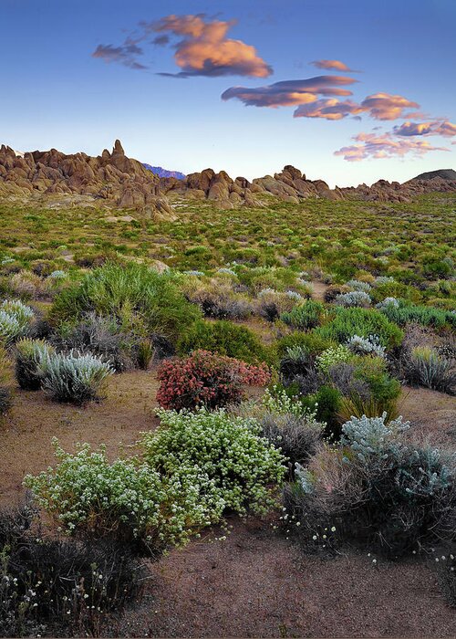 Landscape Greeting Card featuring the photograph High Desert Hues by Paul Breitkreuz