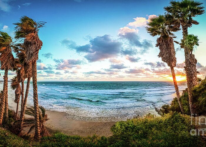 Beach Greeting Card featuring the photograph High Winds at Swami's Beach by David Levin