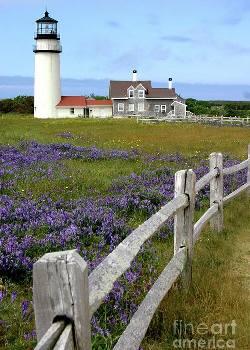 Lighthouse Greeting Card featuring the photograph Highland Light by Paula Guttilla