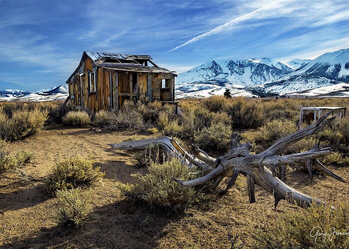 Gary-johnson Greeting Card featuring the photograph Highway 395 Cabin by Gary Johnson