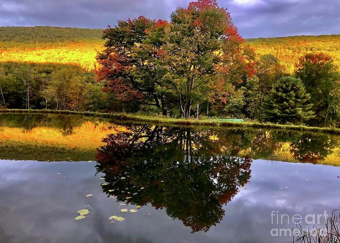 #autumn Greeting Card featuring the photograph Hills Ablaze by Cornelia DeDona