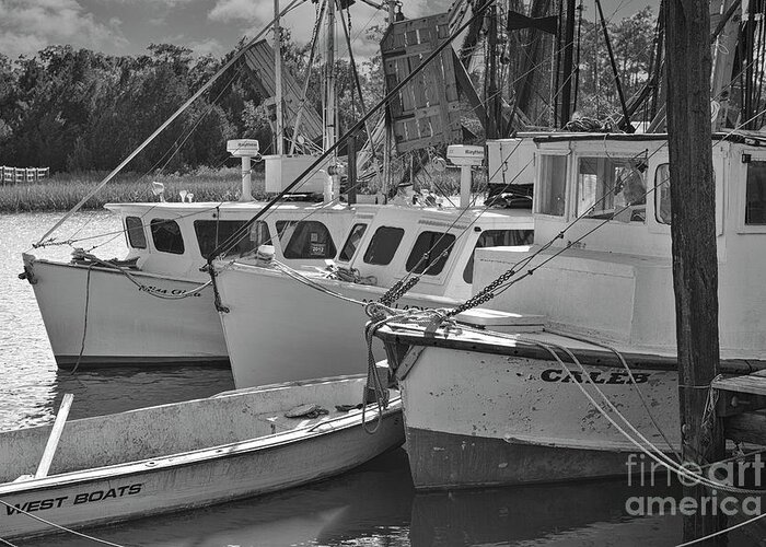 Shrimp Boats Greeting Card featuring the photograph Historic McClellanville South Carolina Shrimp Boats Docked 3 Deep by Dale Powell