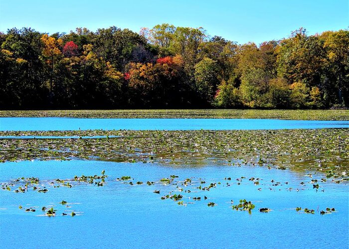 Lakes Greeting Card featuring the photograph Historic Smithville Lake in Autumn in New Jersey by Linda Stern