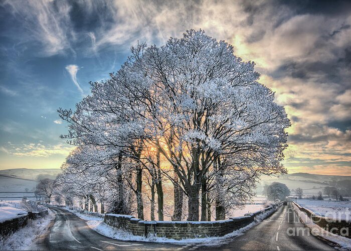Uk Greeting Card featuring the photograph Hoar Frost At Sunset, North Yorkshire by Tom Holmes Photography
