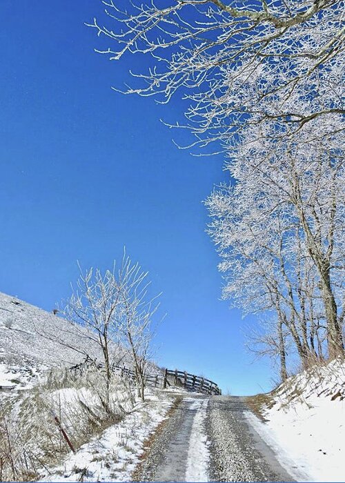 Hoar Frost Road Greeting Card featuring the photograph Hoar Frost Road by Kathy Chism