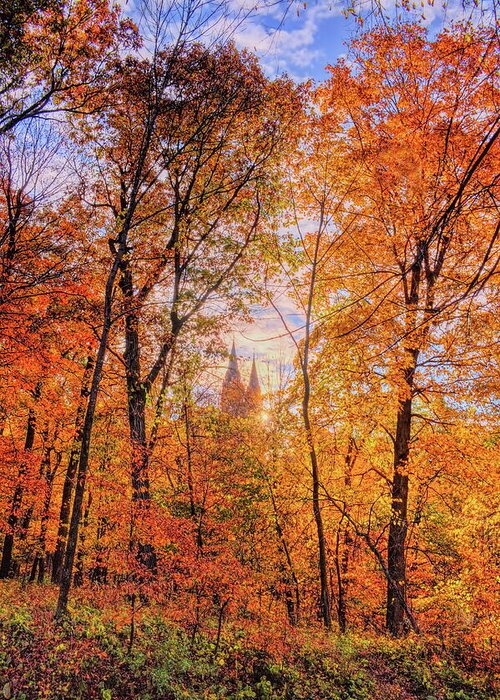 Church Greeting Card featuring the photograph Holy Hill Basilica Through The Maples by Dale Kauzlaric