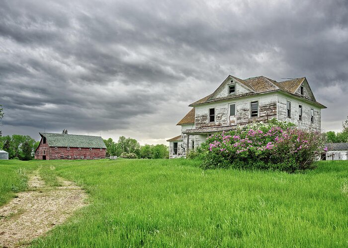 Solberg Greeting Card featuring the photograph Home is Where the Lilacs Bloom - 2 of 2 - abandoned Solberg homestead in rural ND by Peter Herman