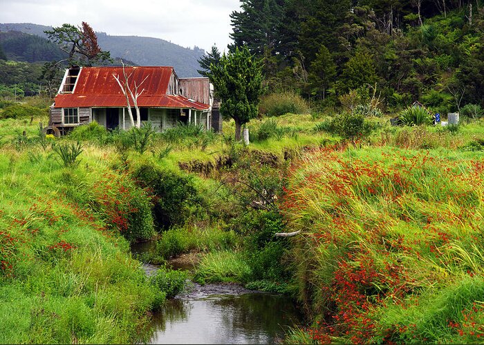 Farmhouse Greeting Card featuring the photograph Homestead - New Zealand by Kenneth Lane Smith