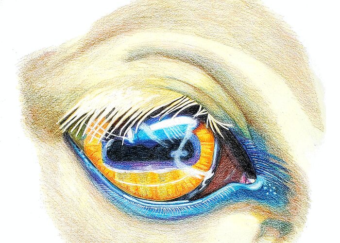 Horse Eye Greeting Card featuring the drawing Horse Eye Study by Equus Artisan