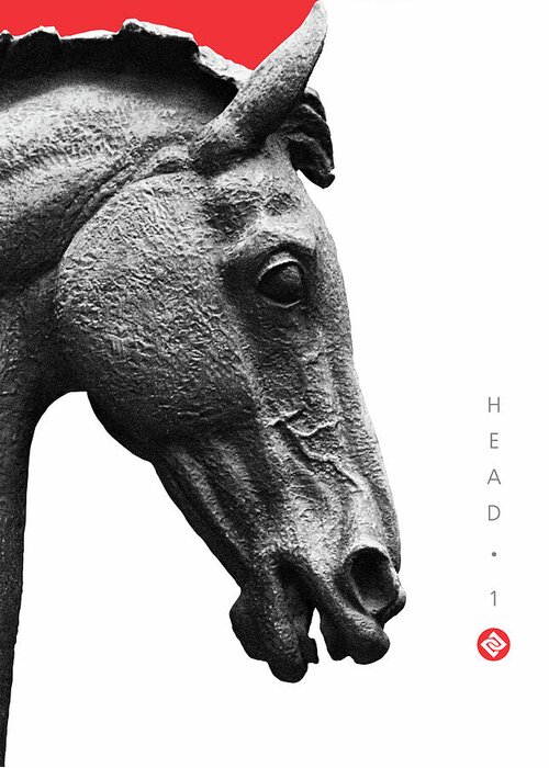 Horse Photographs Greeting Card featuring the photograph Horse Head 1 by David Davies