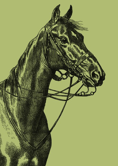 Horse Greeting Card featuring the digital art Horse Portrait by Madame Memento