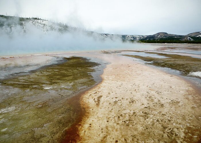 Yellowstone Greeting Card featuring the photograph Hot Springs Channels by Rachel Morrison