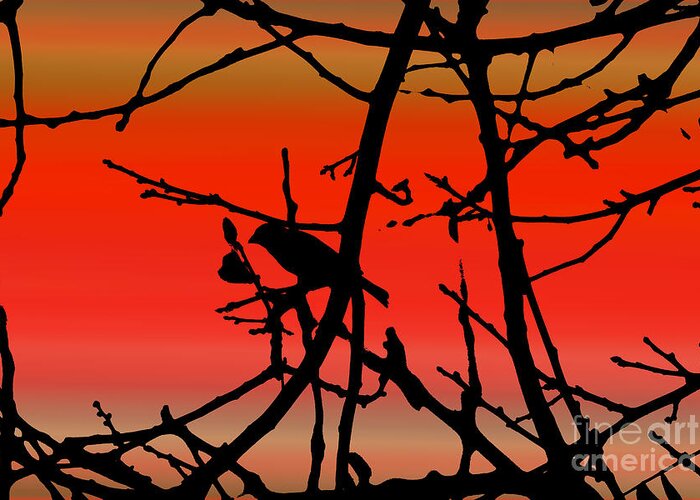 House Finch Greeting Card featuring the photograph House Finch In Tree Silhouette on Tuscan Sunset by Colleen Cornelius
