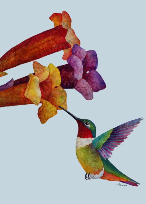 Hummingbird Greeting Card featuring the painting Hummer Time - solid background by Hailey E Herrera