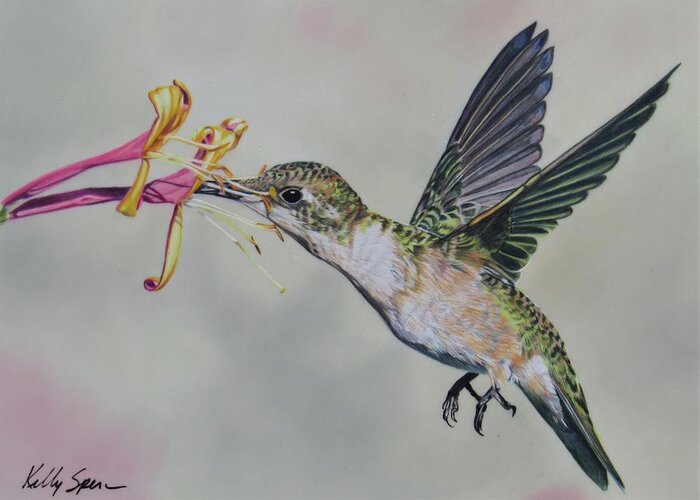Hummingbird Greeting Card featuring the drawing Humming Along by Kelly Speros