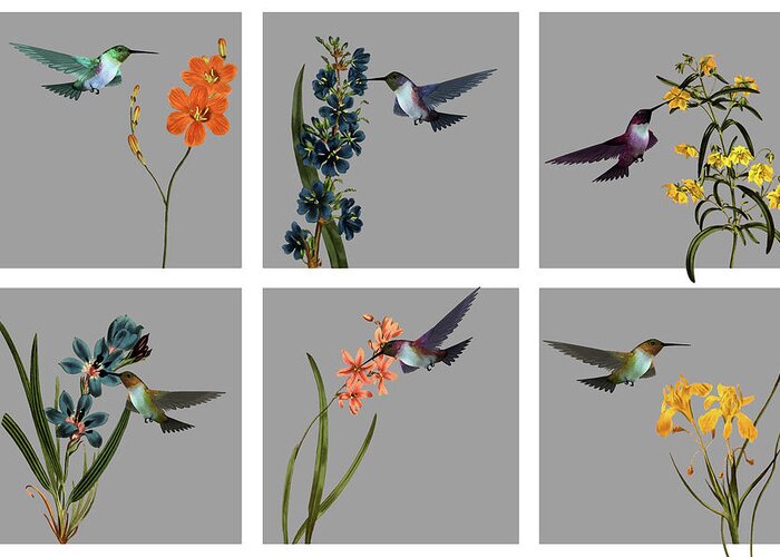 Hummingbird Greeting Card featuring the digital art Hummingbirds In The Garden Hexaptych Dry Brush by David Dehner