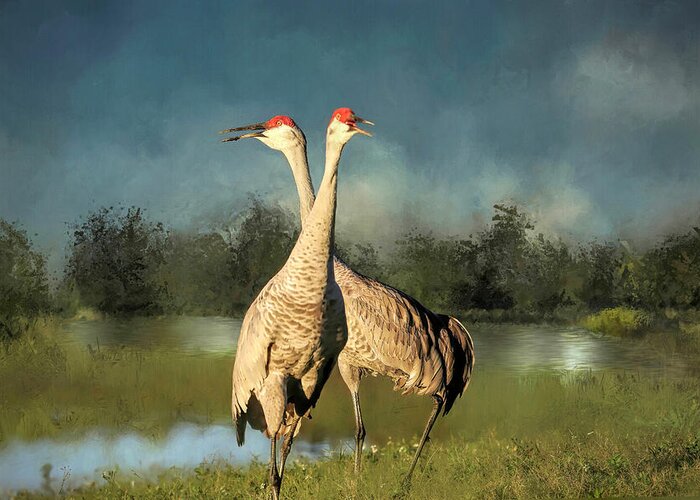 Sandhill Crane Greeting Card featuring the photograph I Got You Babe by Donna Kennedy